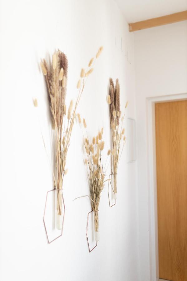 Apartman V Srdci Znojma „Jako Doma“ Znojmo Exteriör bild
