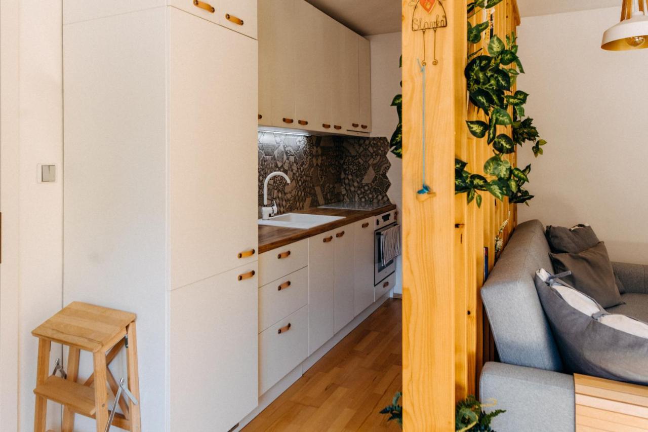 Apartman V Srdci Znojma „Jako Doma“ Znojmo Exteriör bild
